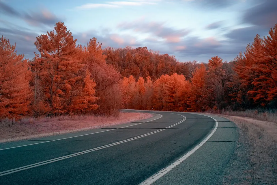 Curved highway through colorful autumn forest near Millville, MN, USA.