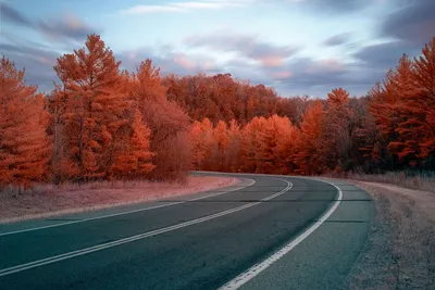 Curved highway through colorful autumn forest near Millville, MN, USA.