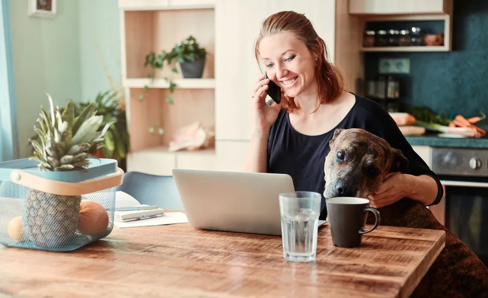 A woman working on a laptop in her kitchen while talking on the phone and petting her dog.
